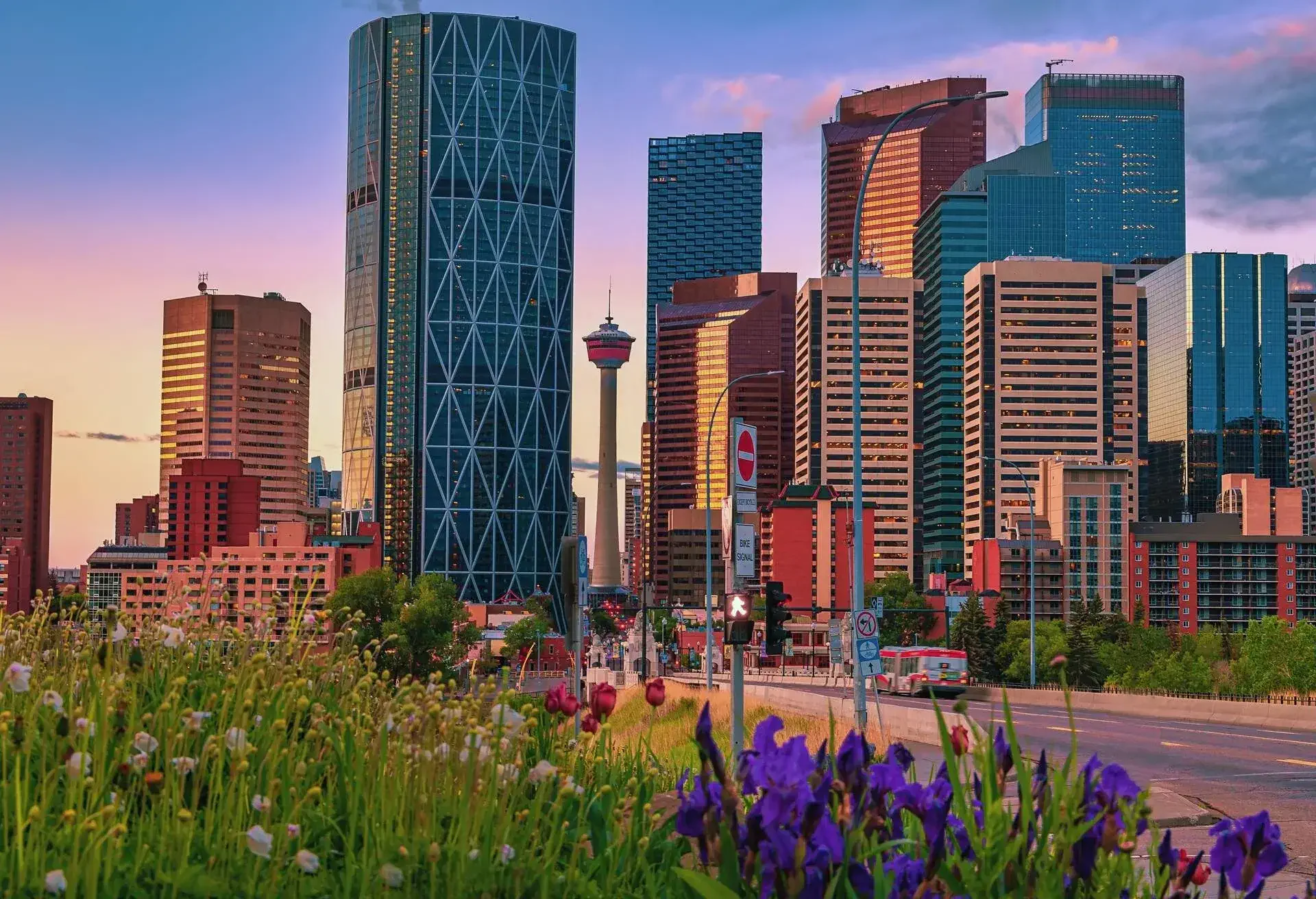 A view of summer flowers blooming by downtown Calgary roads during a colourful sunrise.