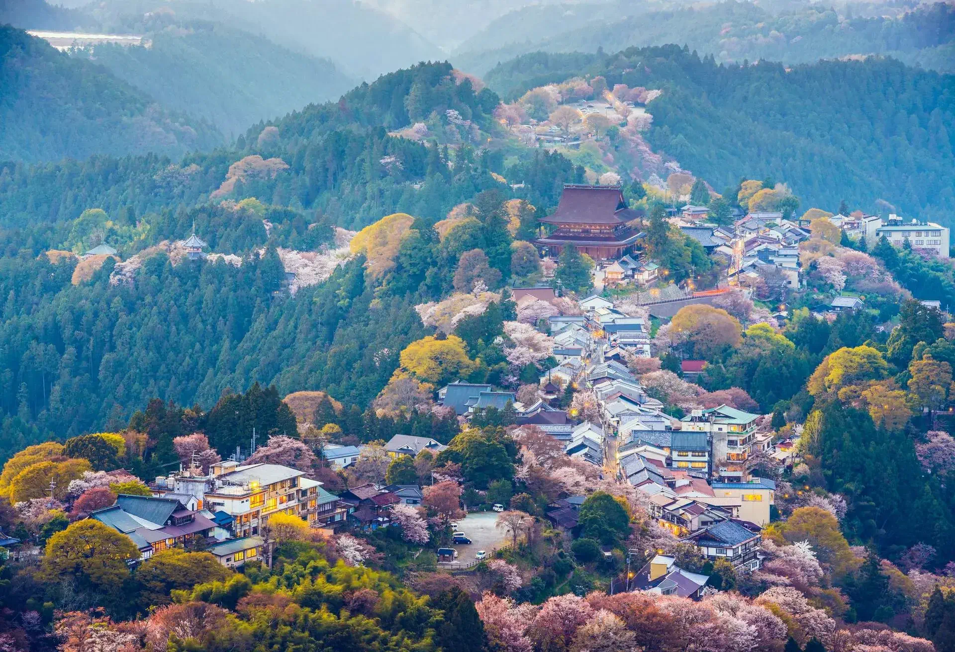 DEST_JAPAN_MOUNT_YOSHINO_CHERRY_BLOSSOMS_GettyImages-508725103