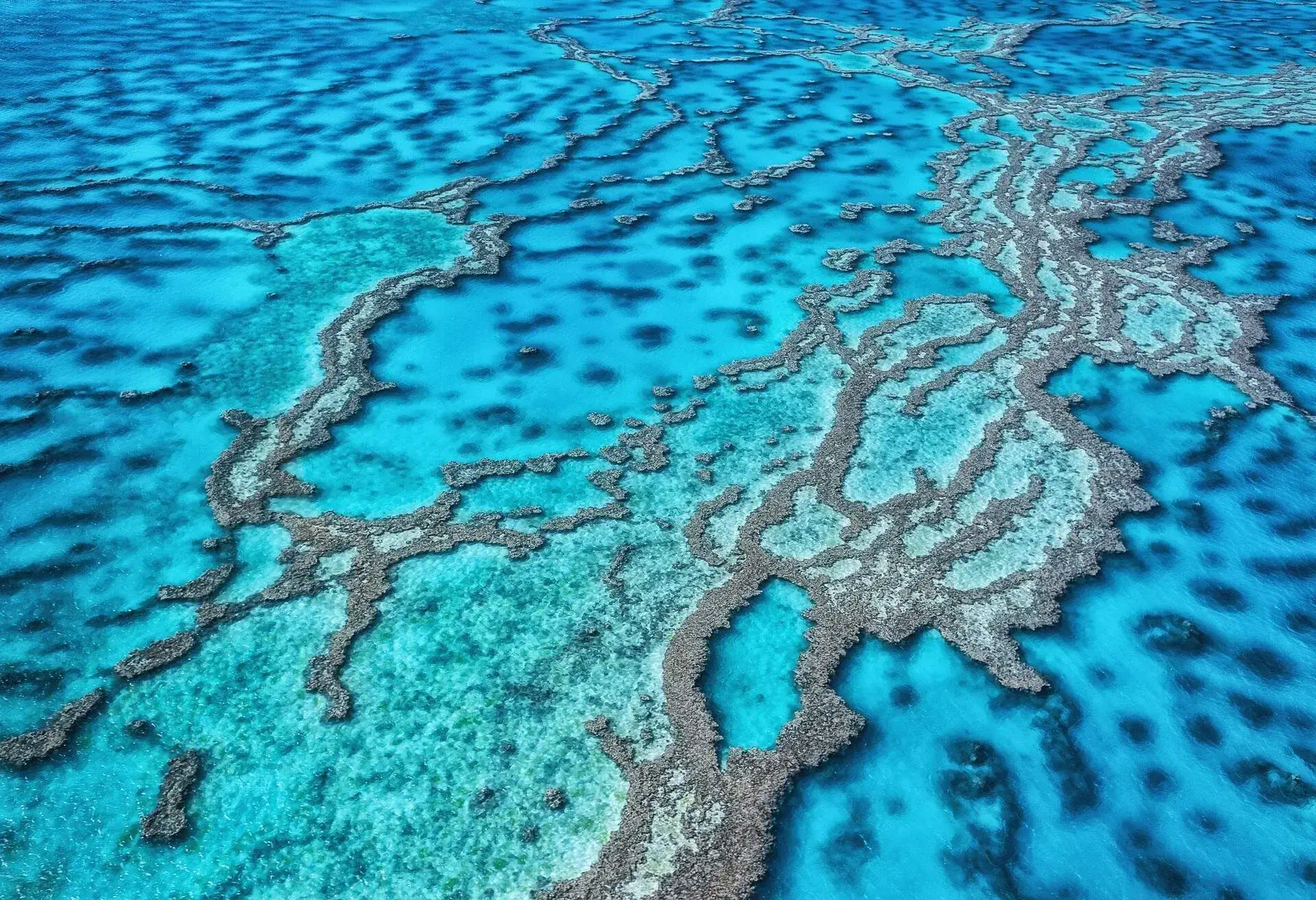 This is a seascape of Great Barrier Reef in Queensland, Australia..GBR is registered as the World Natural Heritage Site, and is well known worldwide as a tourist destination in the world..Many people come to see this beautiful scenery every year.