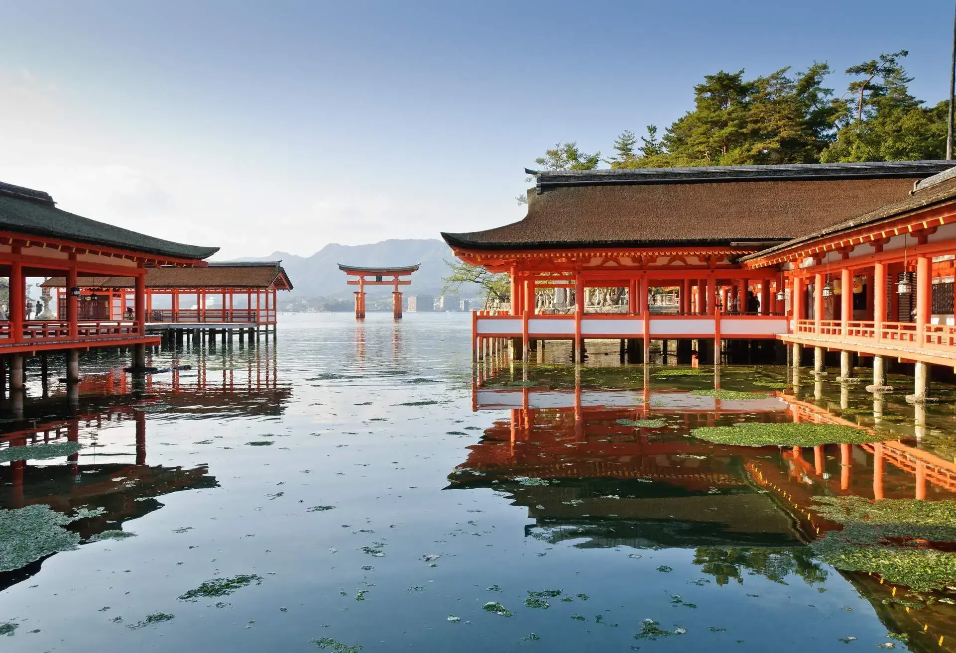 DEST_JAPAN_HIROSHIMA_Hatsukaichi_Itsukushima-Shrine_shutterstock-portfolio_152186456