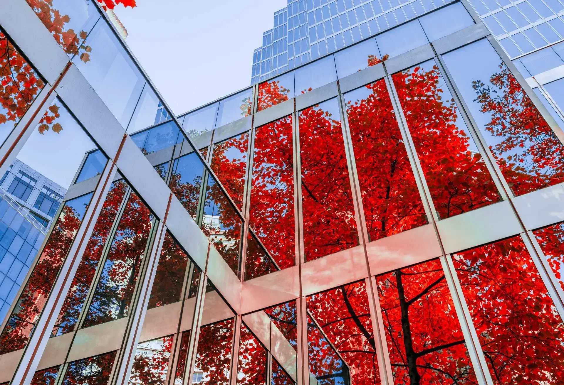 CANADA_VANCOUVER_AUTUMN_LEAVES_REFLECTING_BUILDING