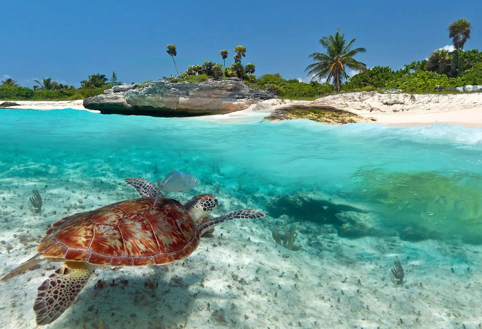 DEST_MEXICO_PLAYA-DEL-CARMEN_GettyImages-154270811