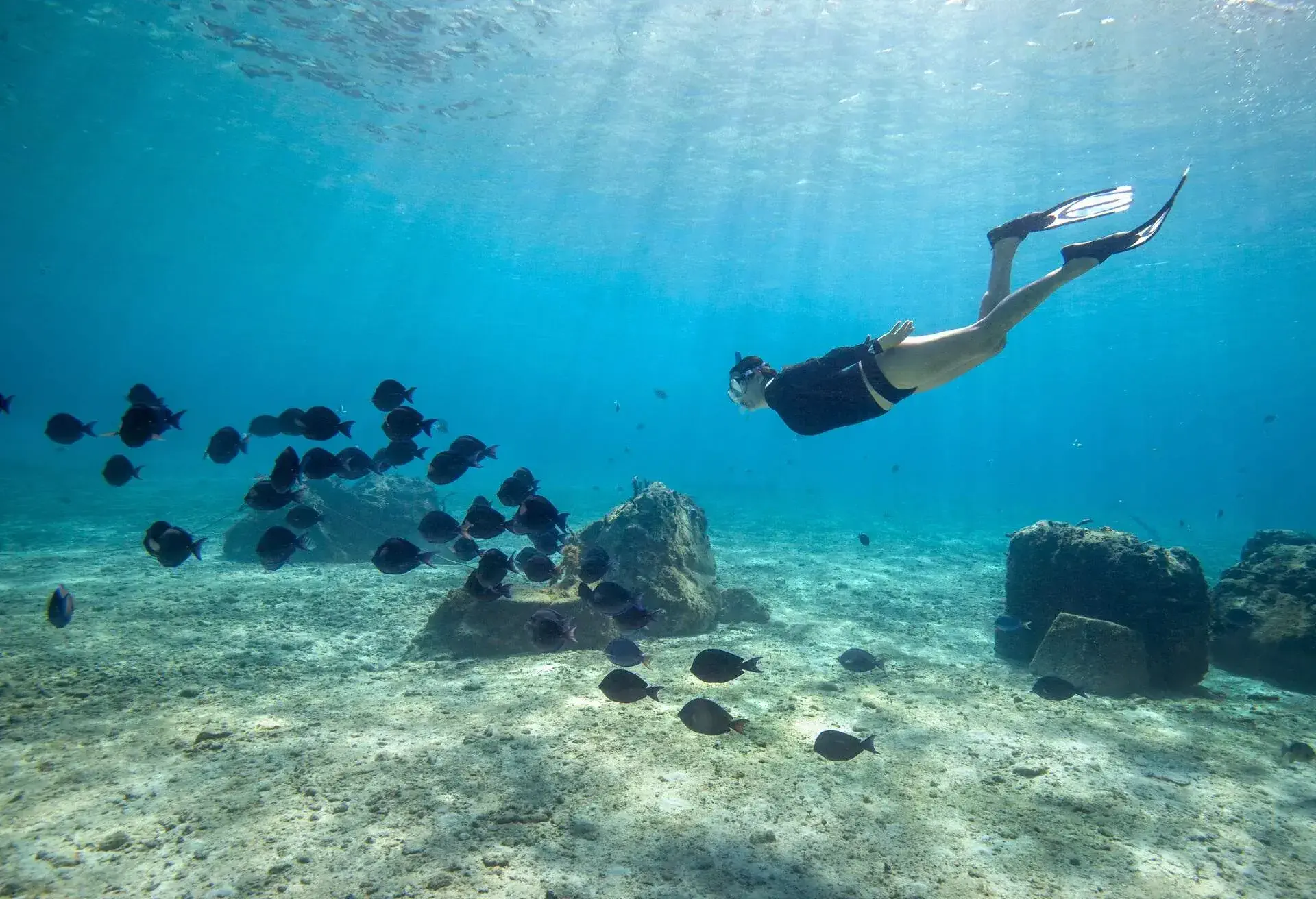 DEST_MEXICO_CONZUMEL_GettyImages-910619154