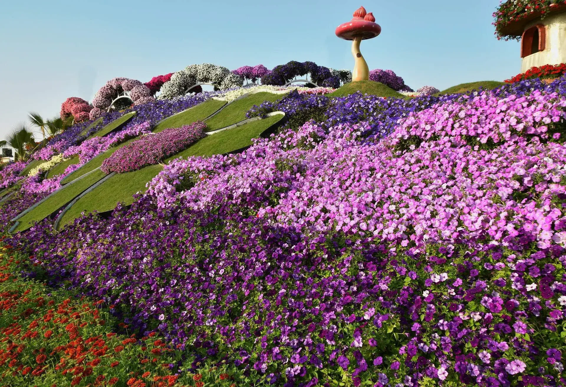 Bright flowers cover the slope in this portion of the Dubai Miracle Garden.