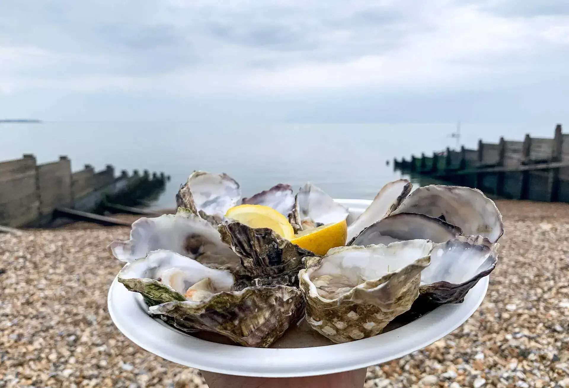 A plateful of fresh oysters with sliced lemons.