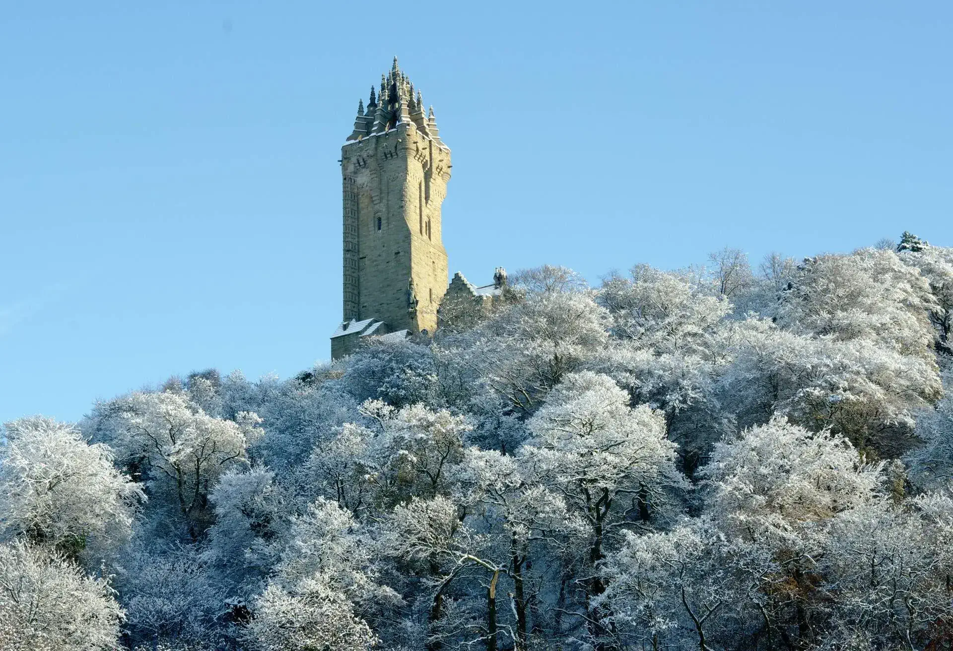 A castle-like tower rising above the trees with leaves glistening in frost.