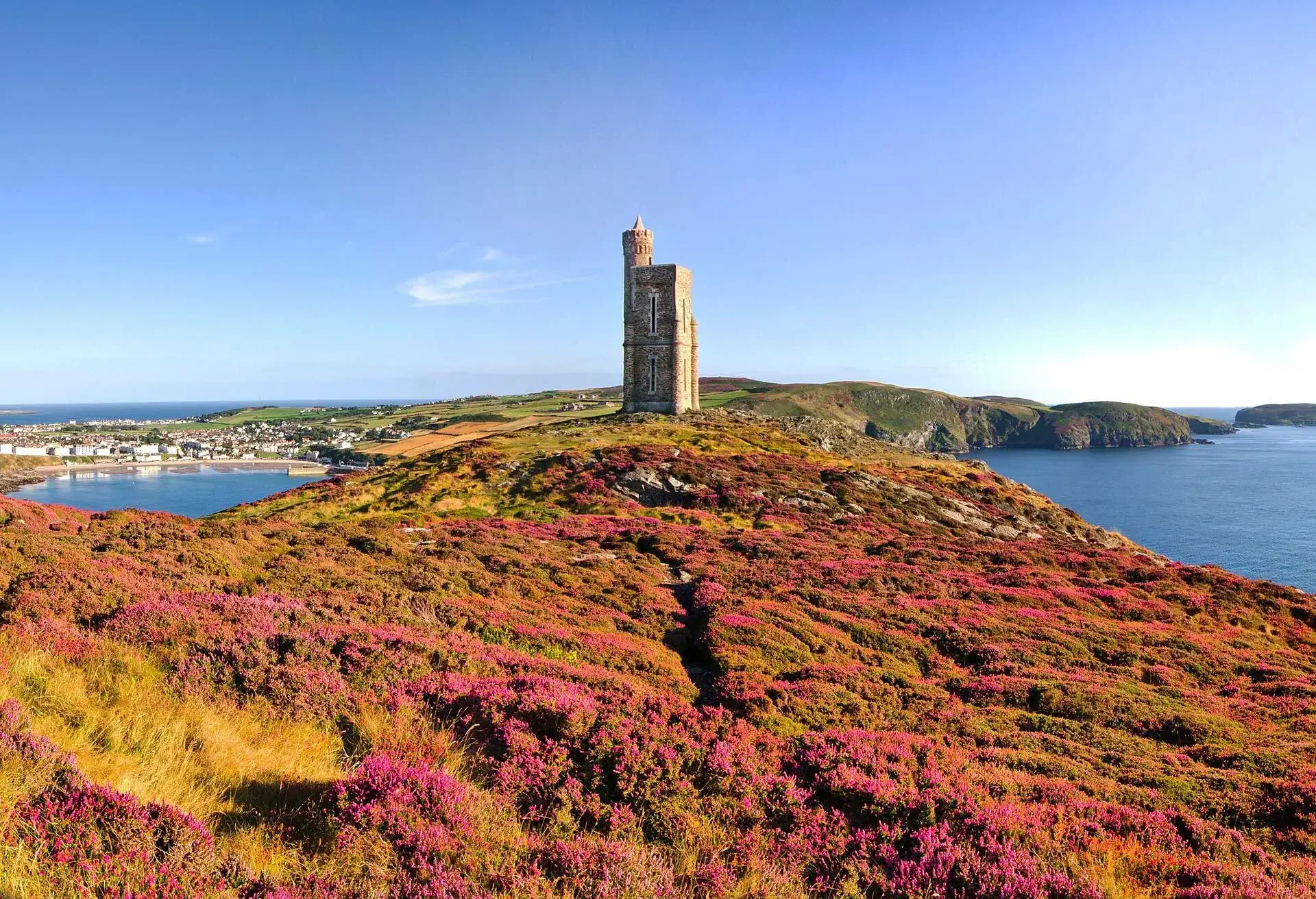 Heather in Bloom on Brada Head. Panorama of South of the Isle of Man with Milner Tower. Port Erin on the Right and Calf of Mann on the left.