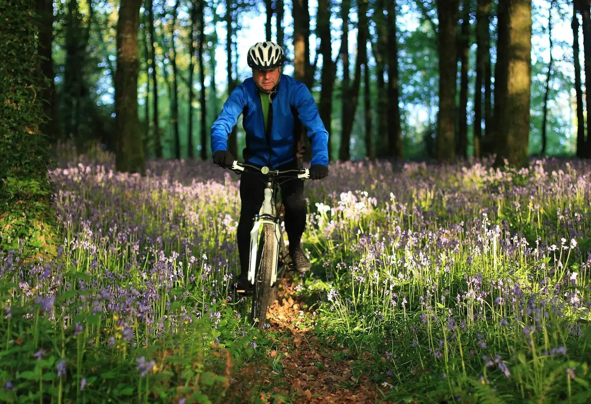 Man biking in forrest, Ireland.