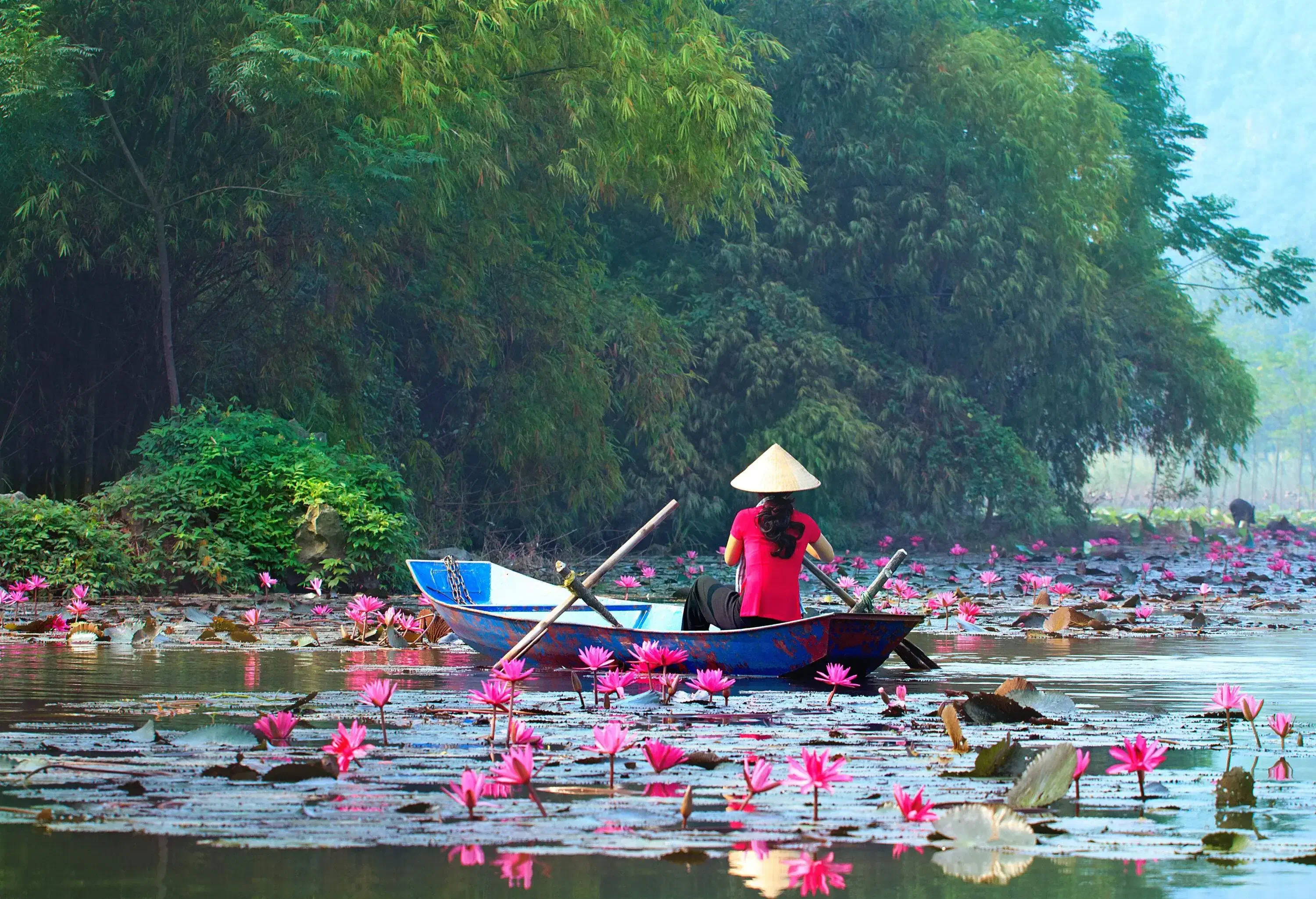 A person in a pink t-shirt and leaf hat rides a rowboat on a lake surrounded by a lily pond with red lotuses.