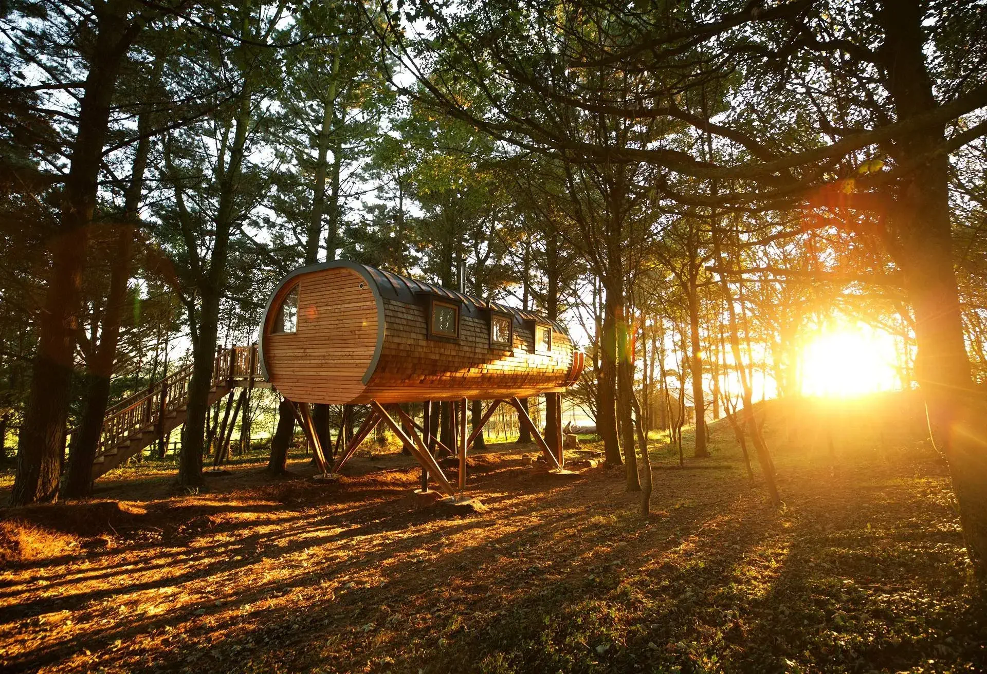 Glamping site in a wood at sunrise