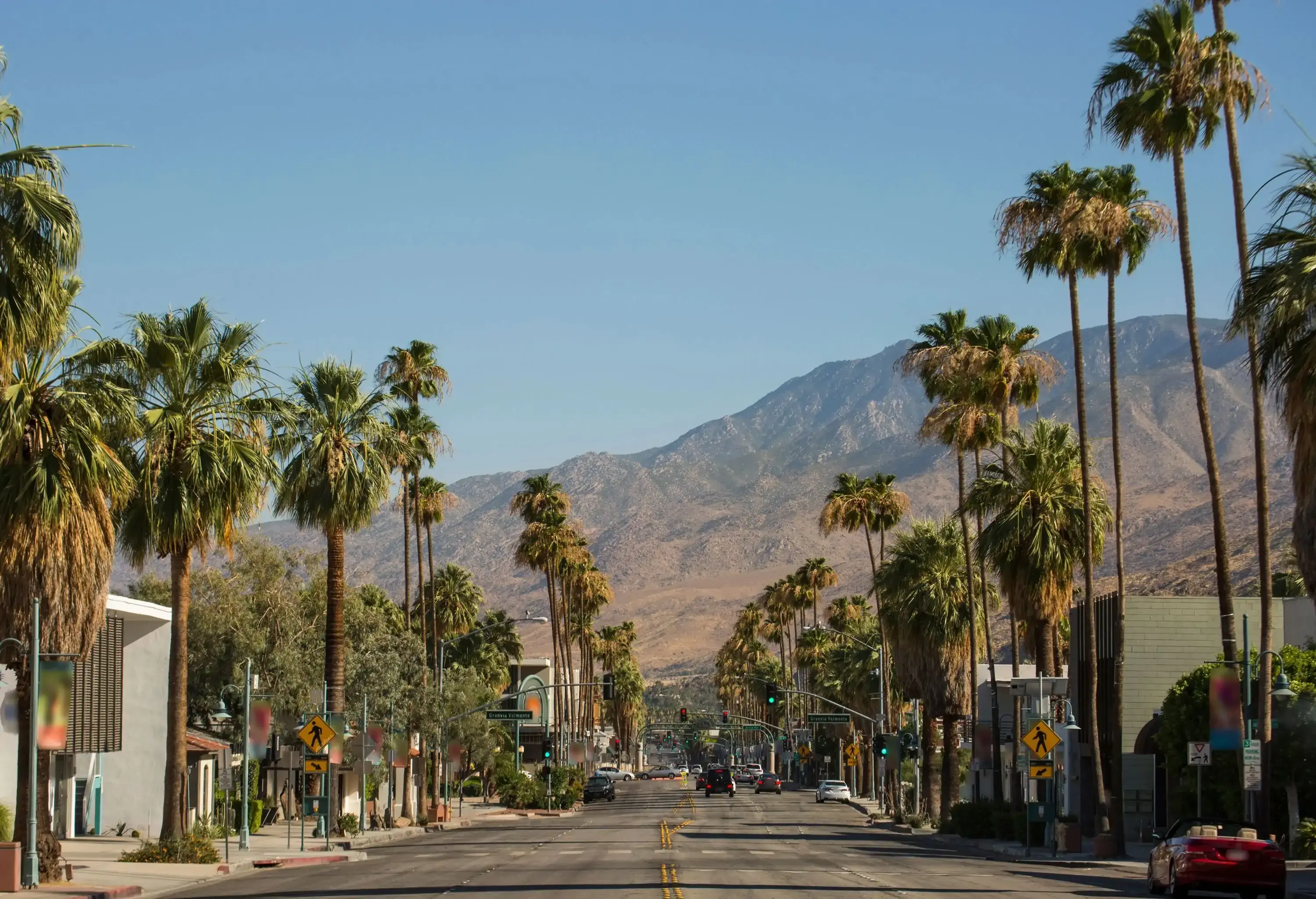 View of a palm lined road with mountains in the background