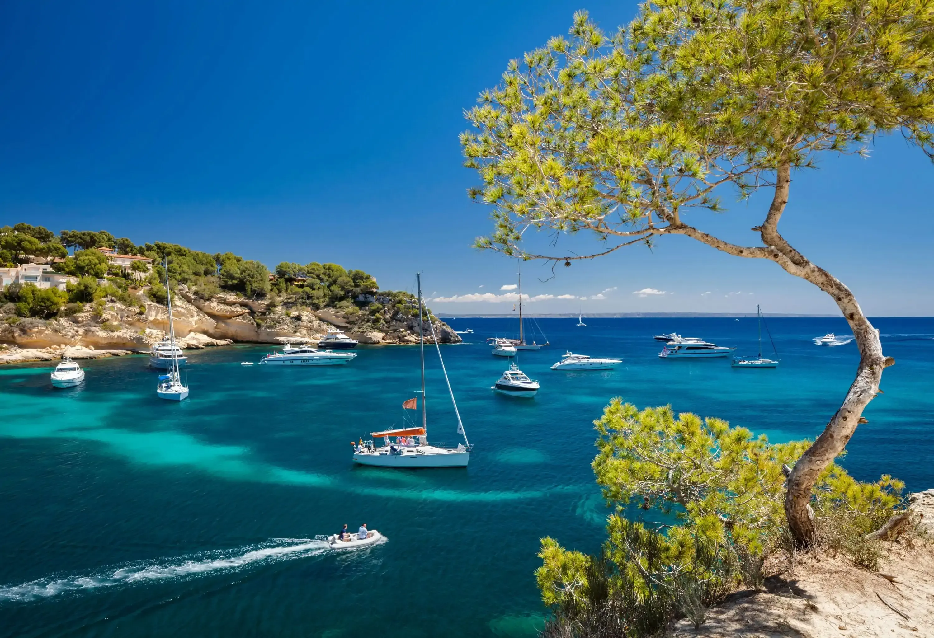 White yachts on a tranquil blue water beach with a rocky lush shore.
