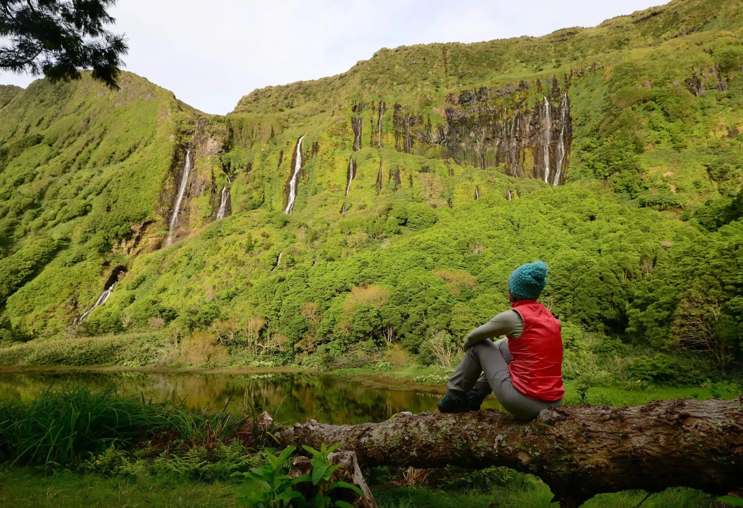 An individual sits on a trunk overlooking the lush cliff.