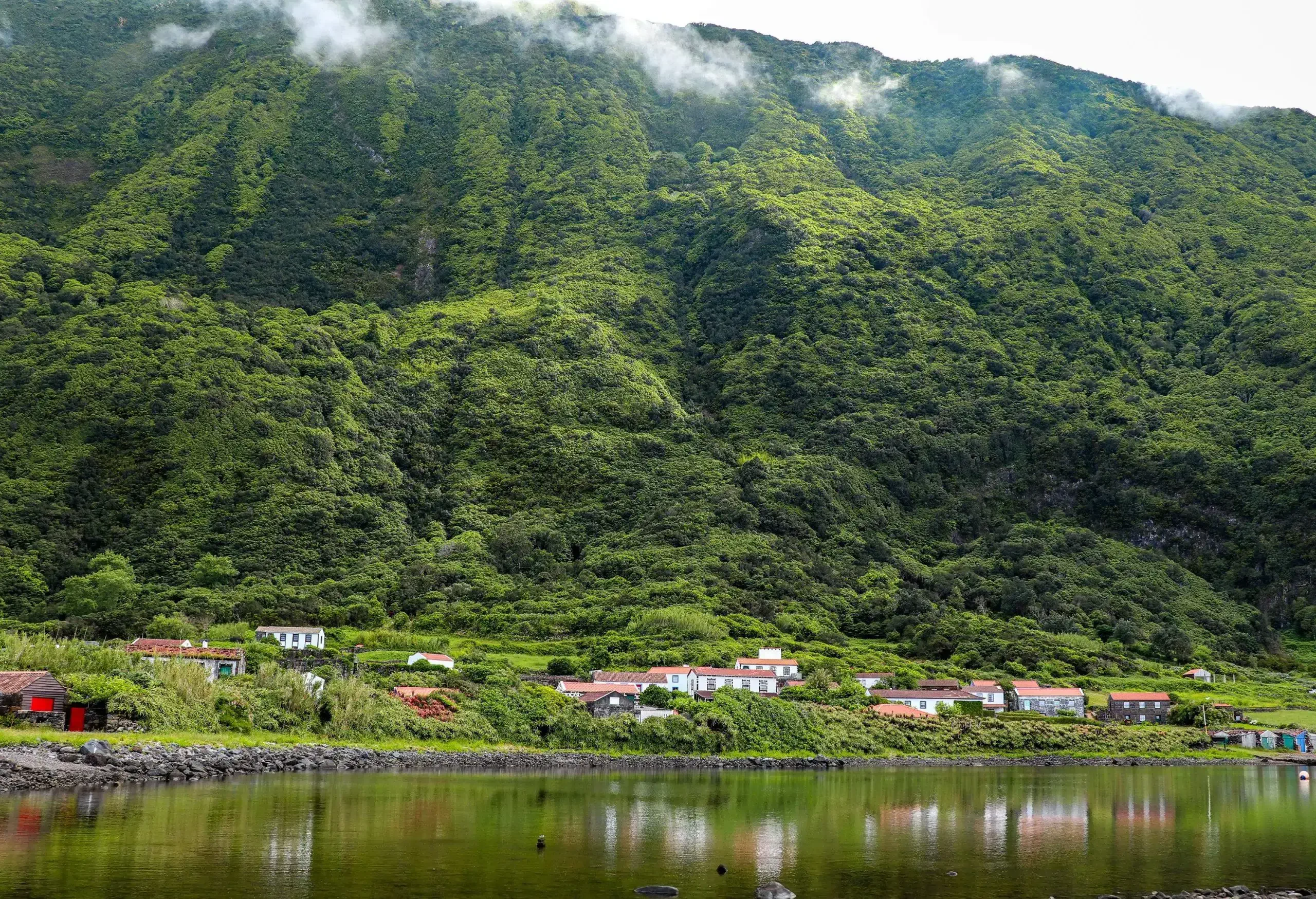 A small neighbourhood on the riverbank at the foot of a steep forested mountain.