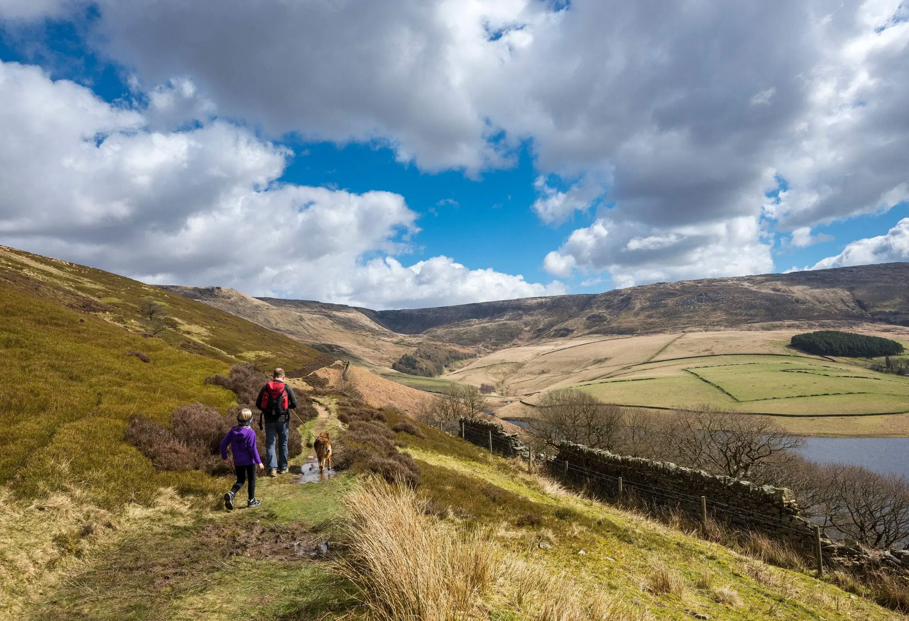 A man walking his dog down a hillside trail with a young child following behind them.