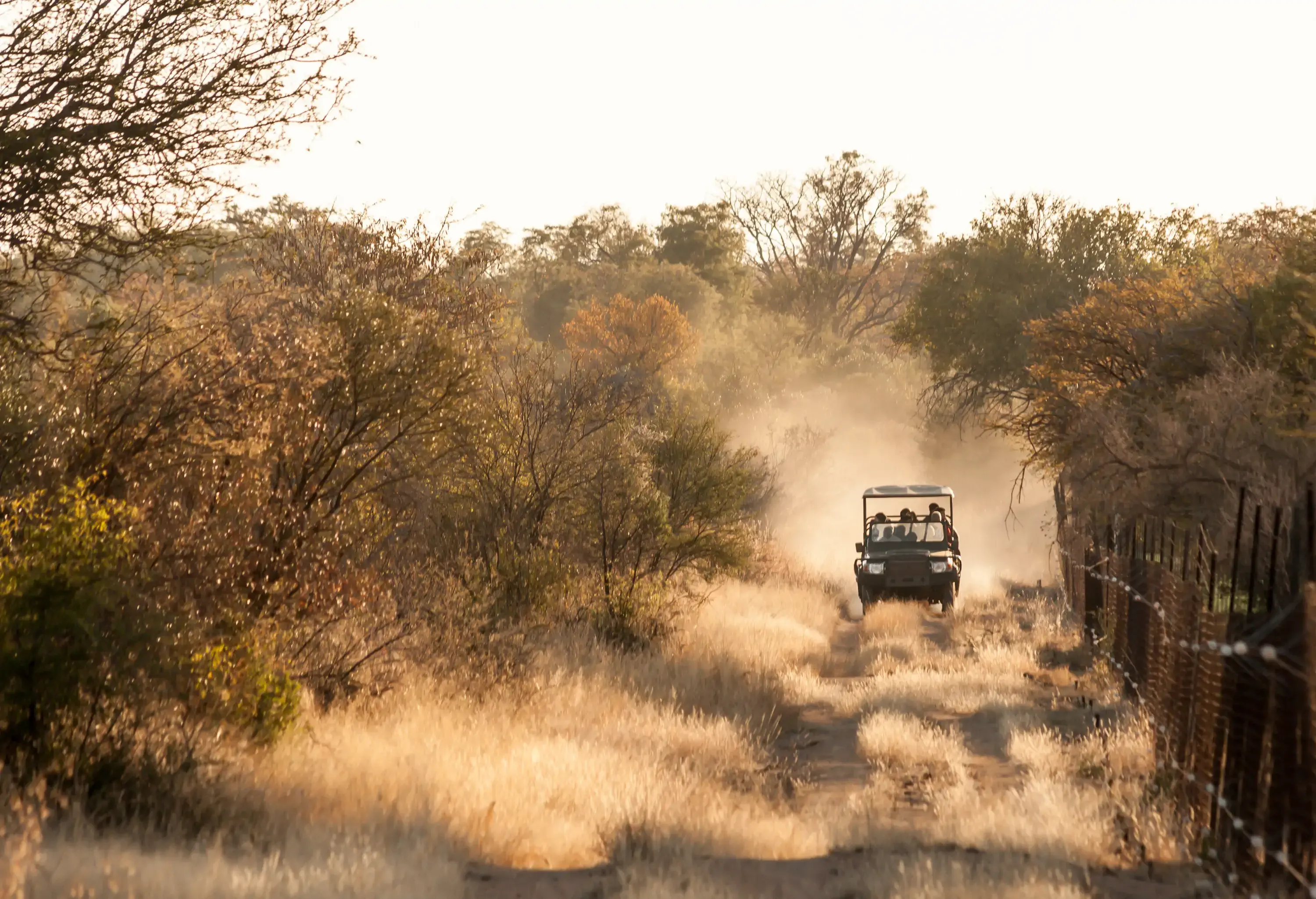 dest_south-africa_johannesburg_theme_safari_shutterstock_388693078_universal_within-usage-period_30197