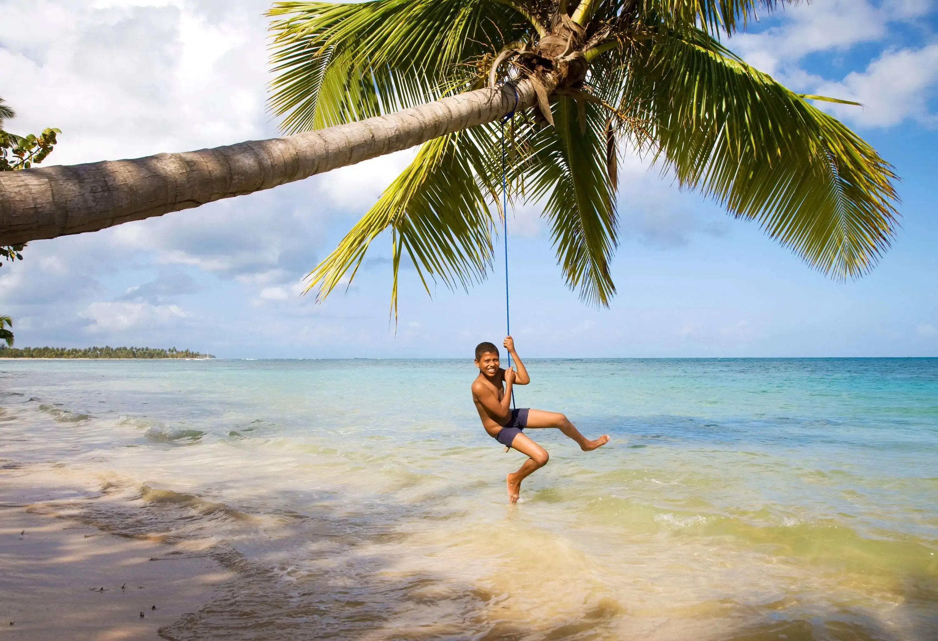 Happy laughing boy hanging from a swing on a palm tree by the ocean