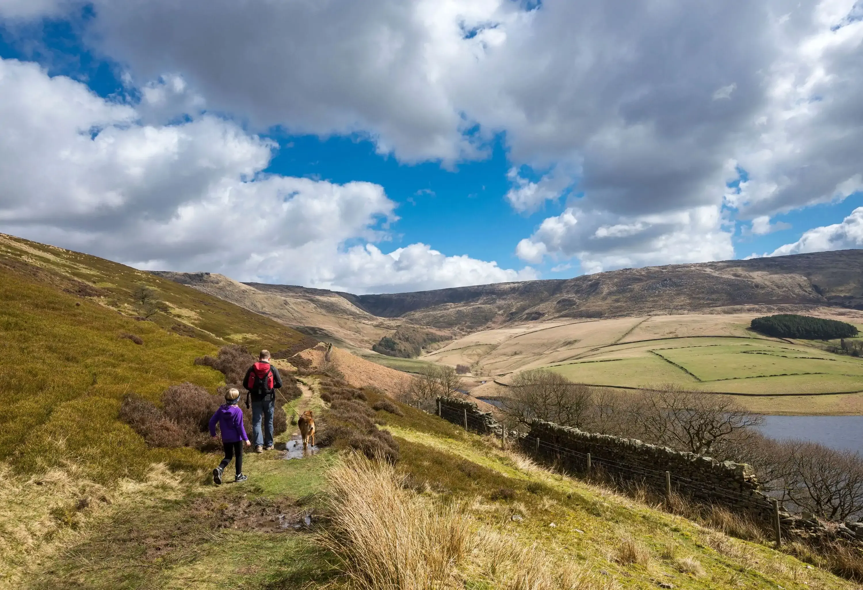 A man walking his dog down a hillside trail with a young child following behind them.