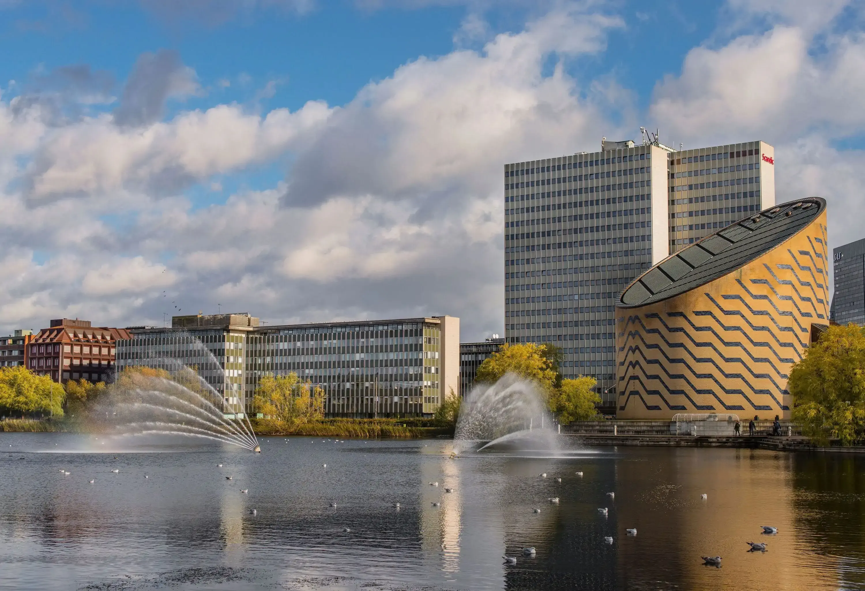 Birds resting on a lake with views of waterfront structures and the cylindrical Tycho Brahe Planetarium with a shed roof.