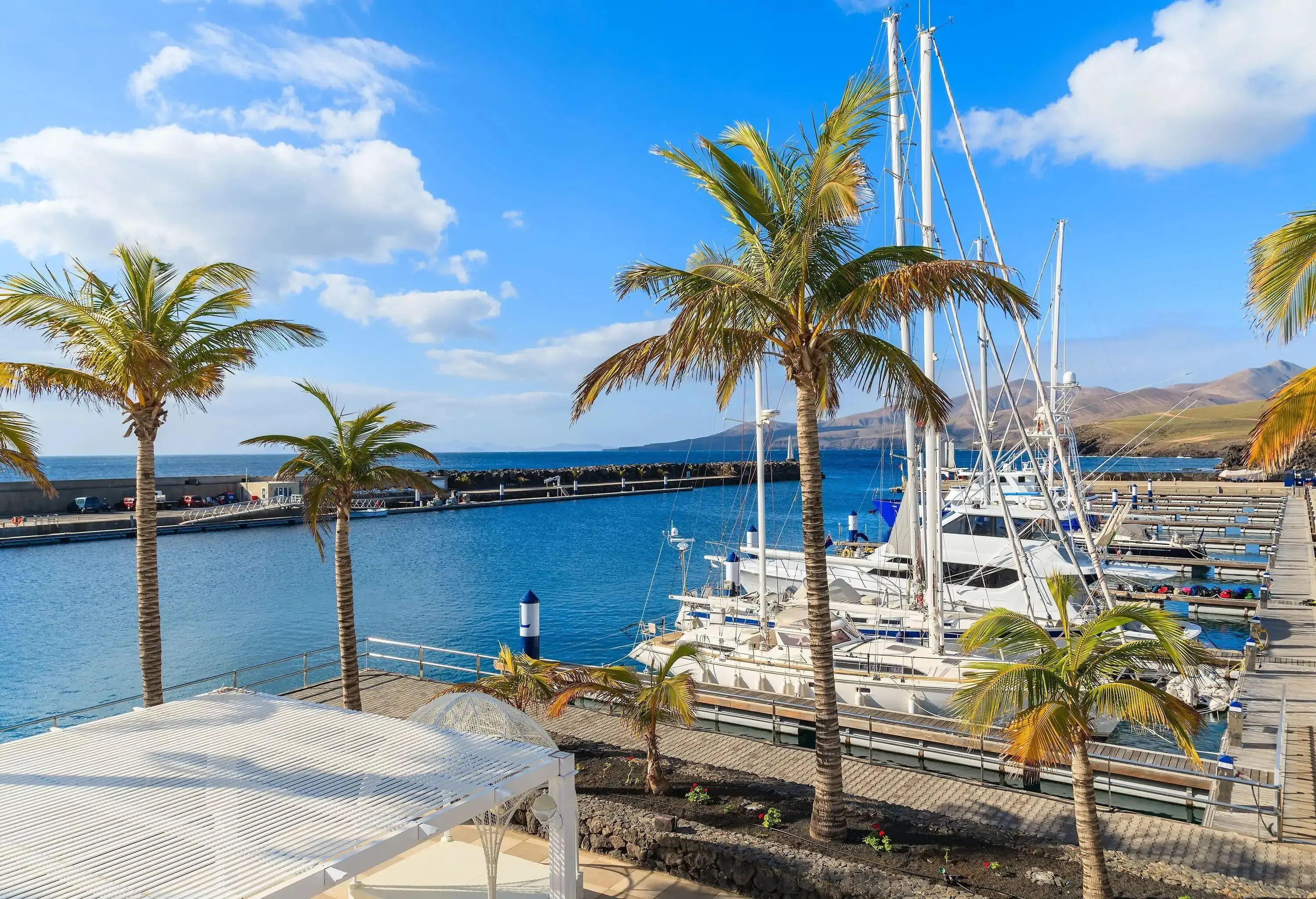 Sailboats anchored in a marina beside a waterfront shed bordered with palm trees.