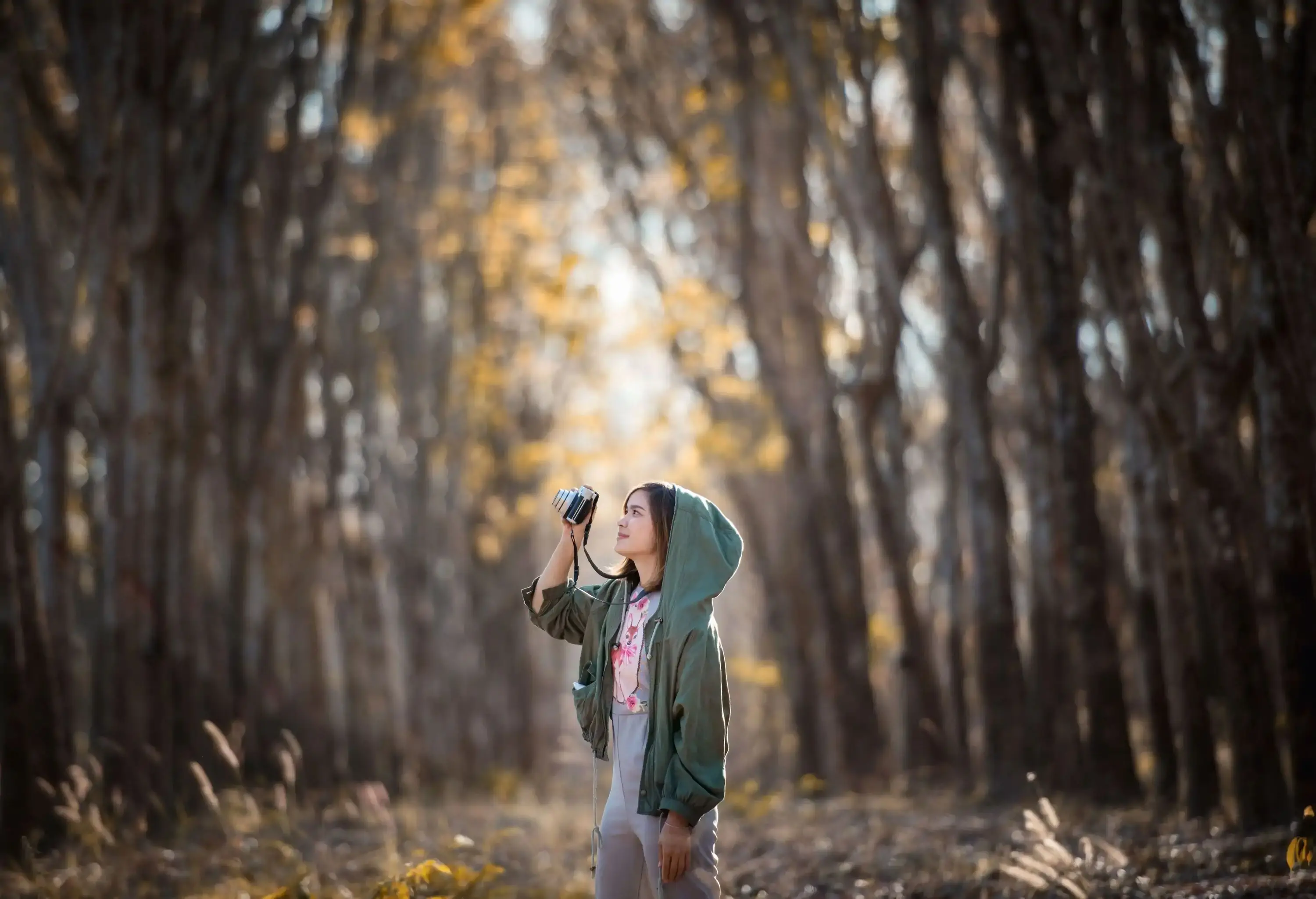 A person in a hoodie with a camera takes a picture of the beautiful nature against the backdrop of a blurry row of trees.