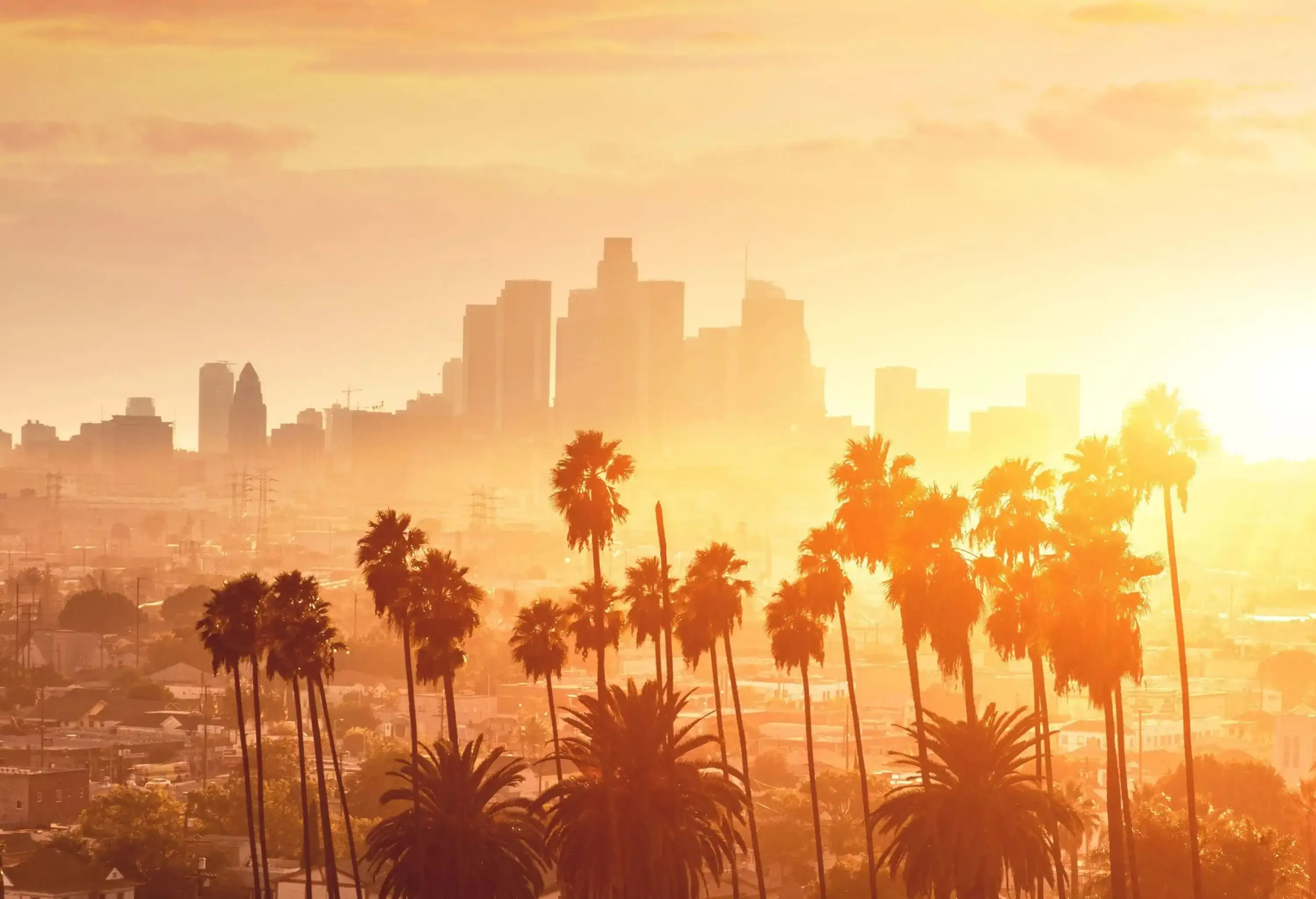 Tall palm trees against the silhouette of modern skyscrapers under the scenic golden hour sky.