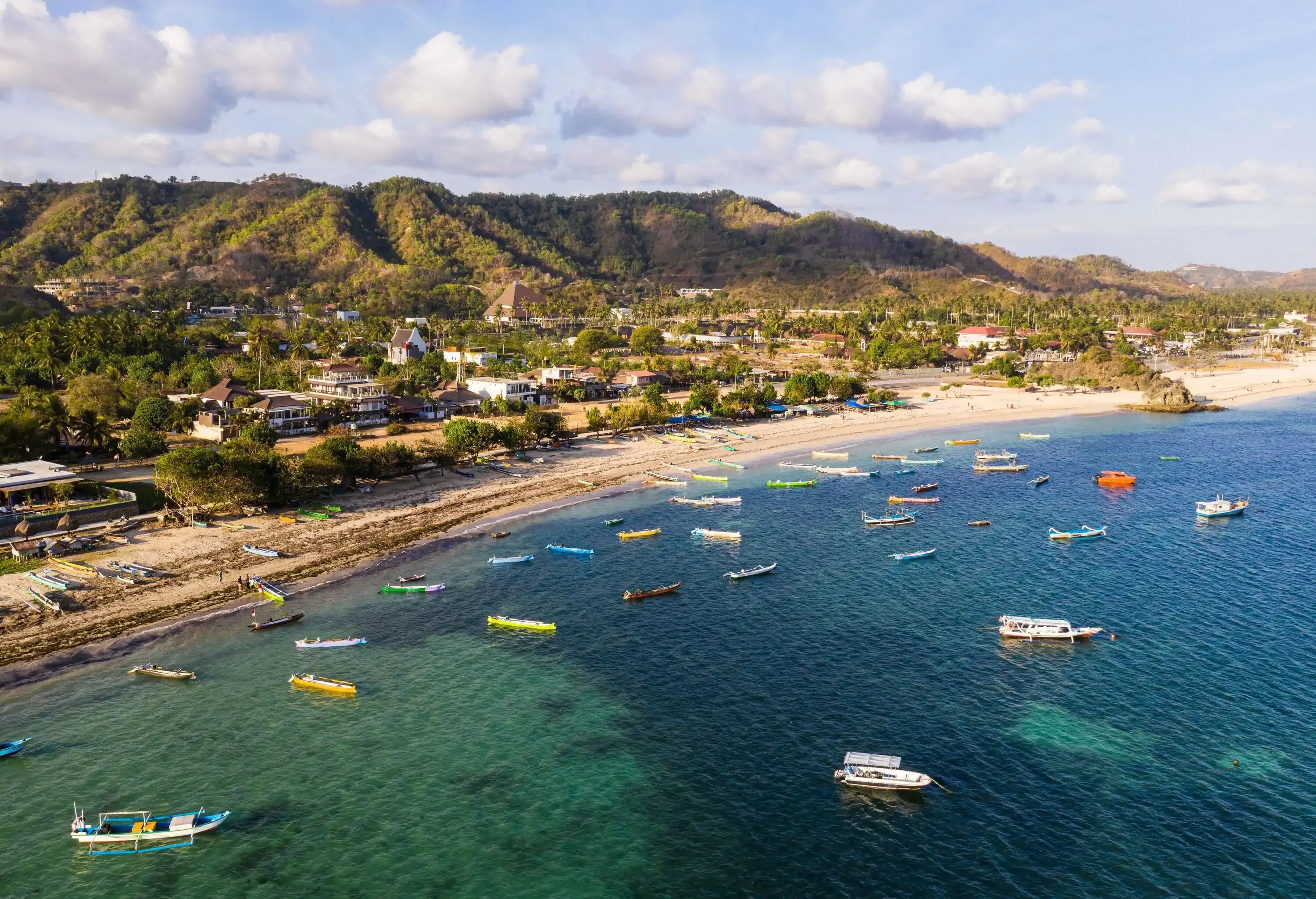 A coastal town with mountains covered in vegetation along a beach with colourful fishing boats.