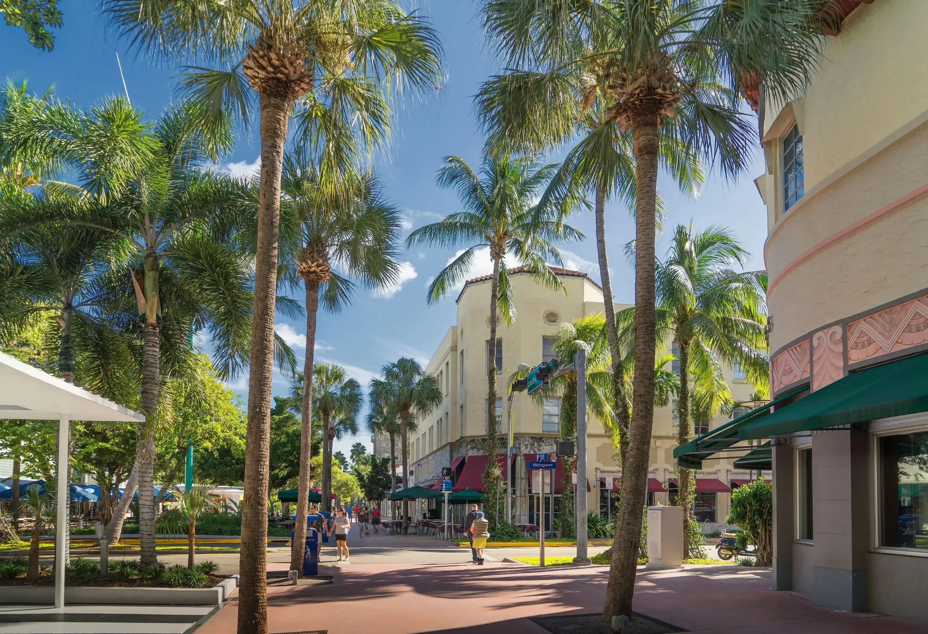 A well-shaded boulevard with people ambling through the pathways under towering trees.