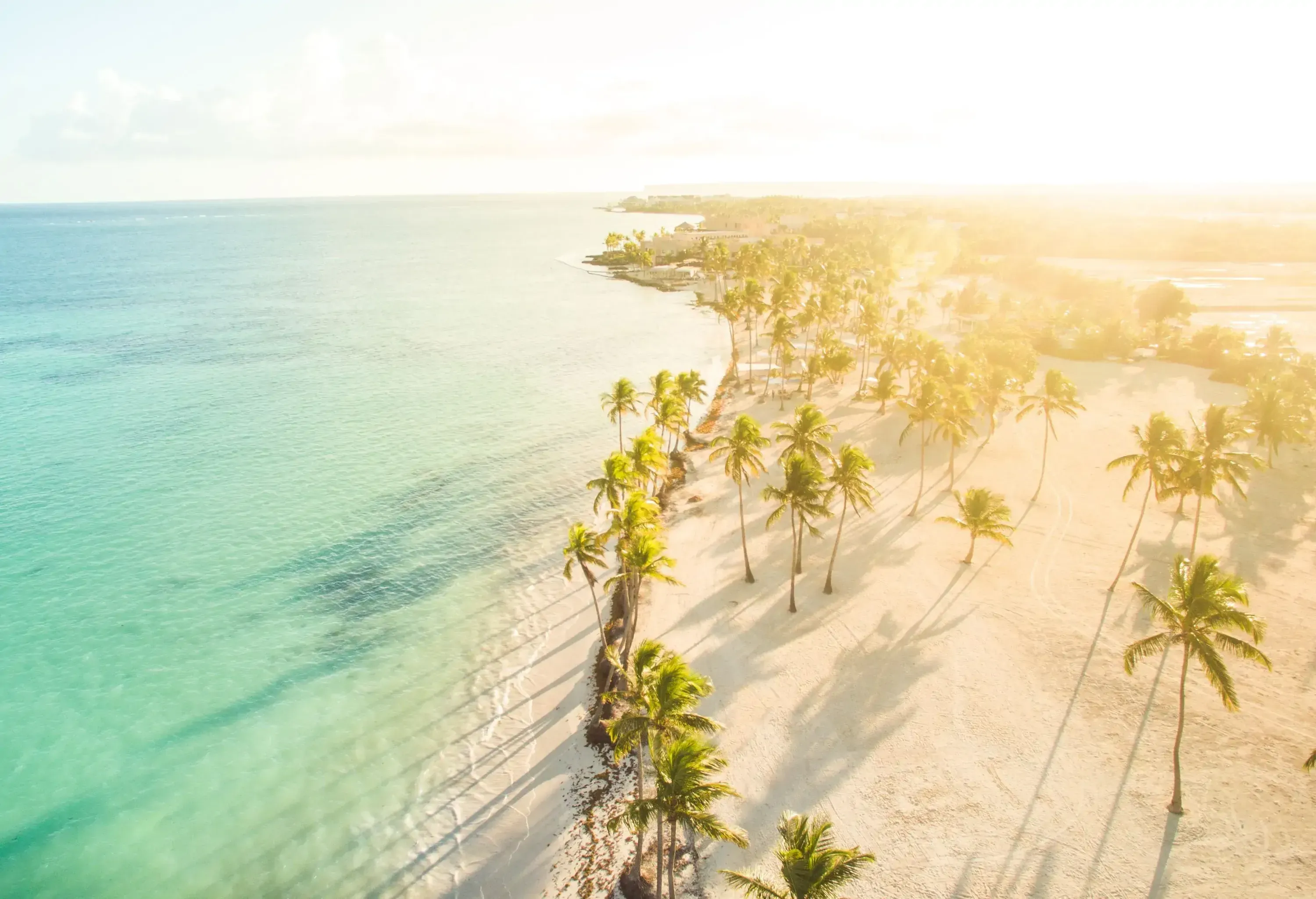 The sun glares above a beach with a grove of palm trees and gentle crystal-clear waters.