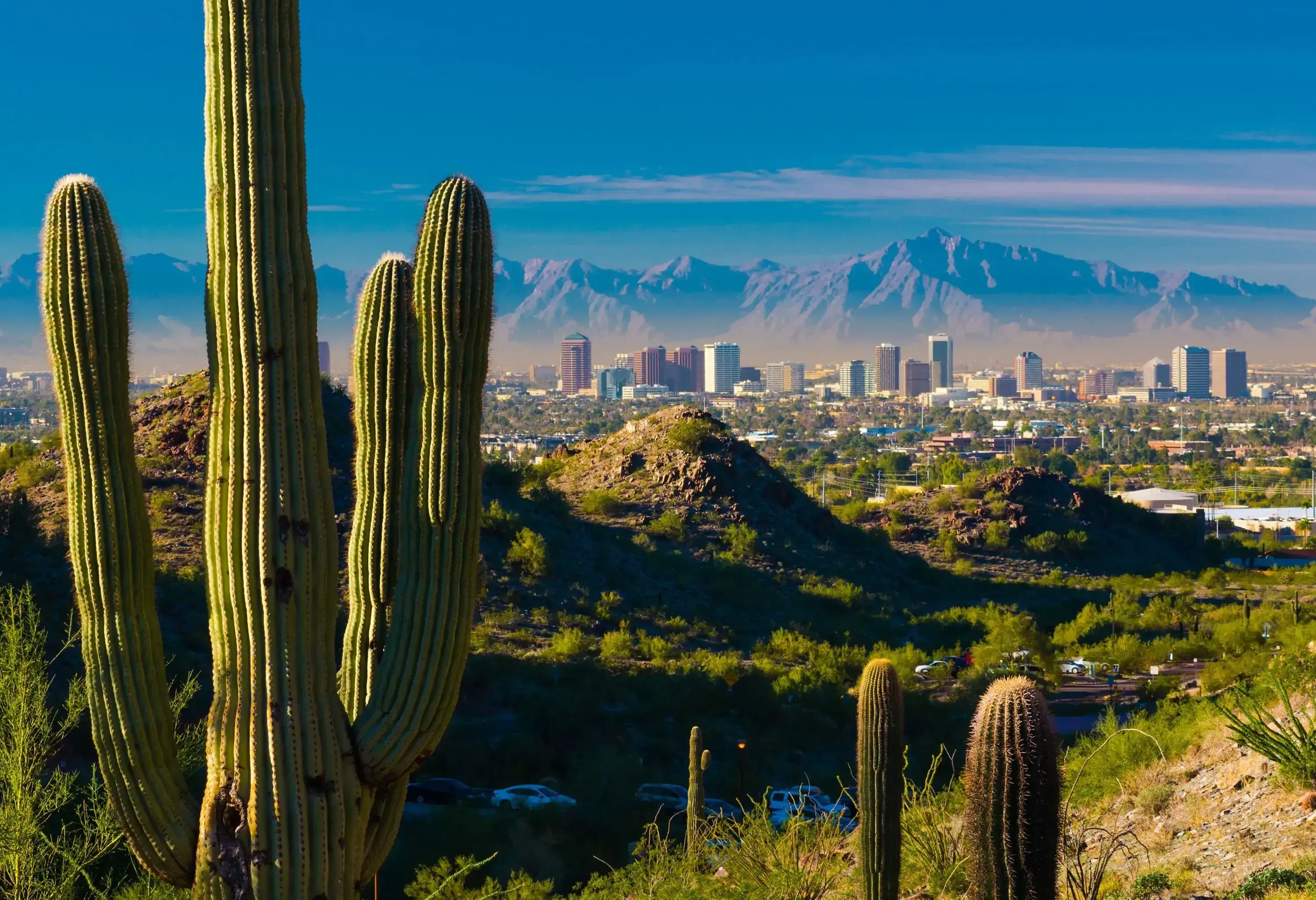 A serene desert vista with cacti, hills, and scattered shrubs in the foreground, leading to a captivating city skyline against a backdrop of majestic, rugged mountains in the distance.