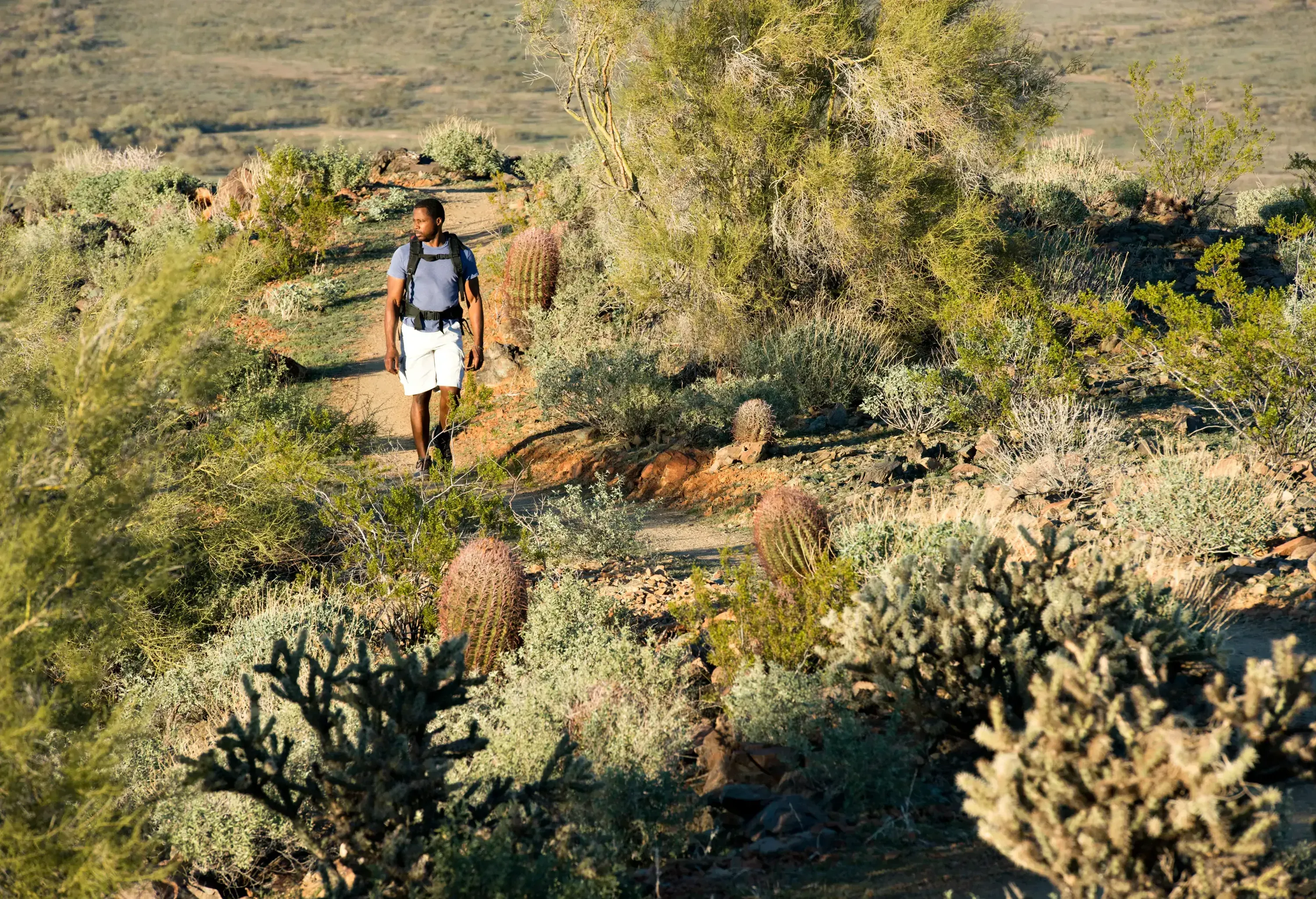 Young man hiking outdoors on a trail at Phoenix Sonoran Preserve in Phoenix, Arizona.