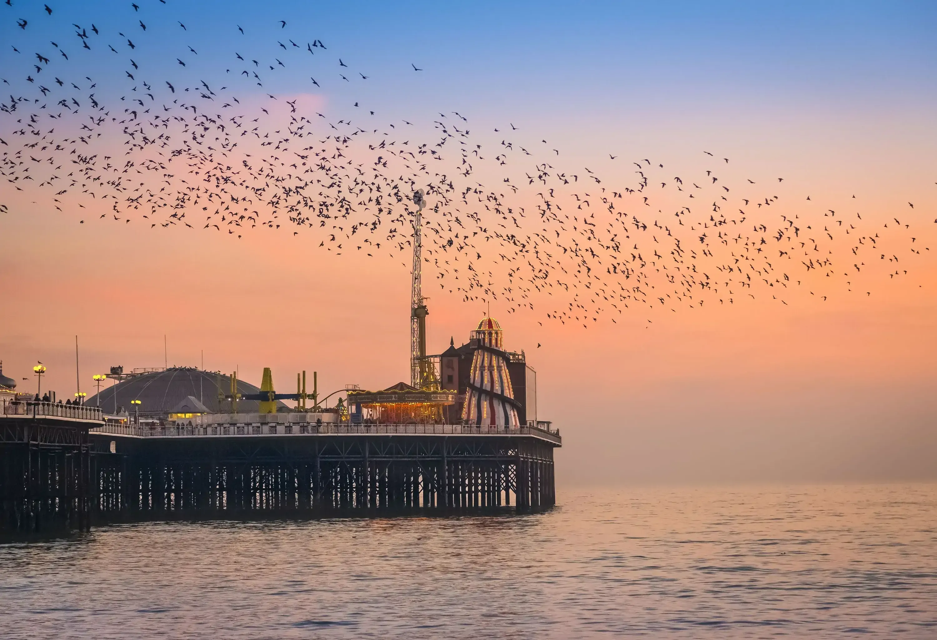 A flock of birds flies over a pier with a tall radio tower and a dome structure.