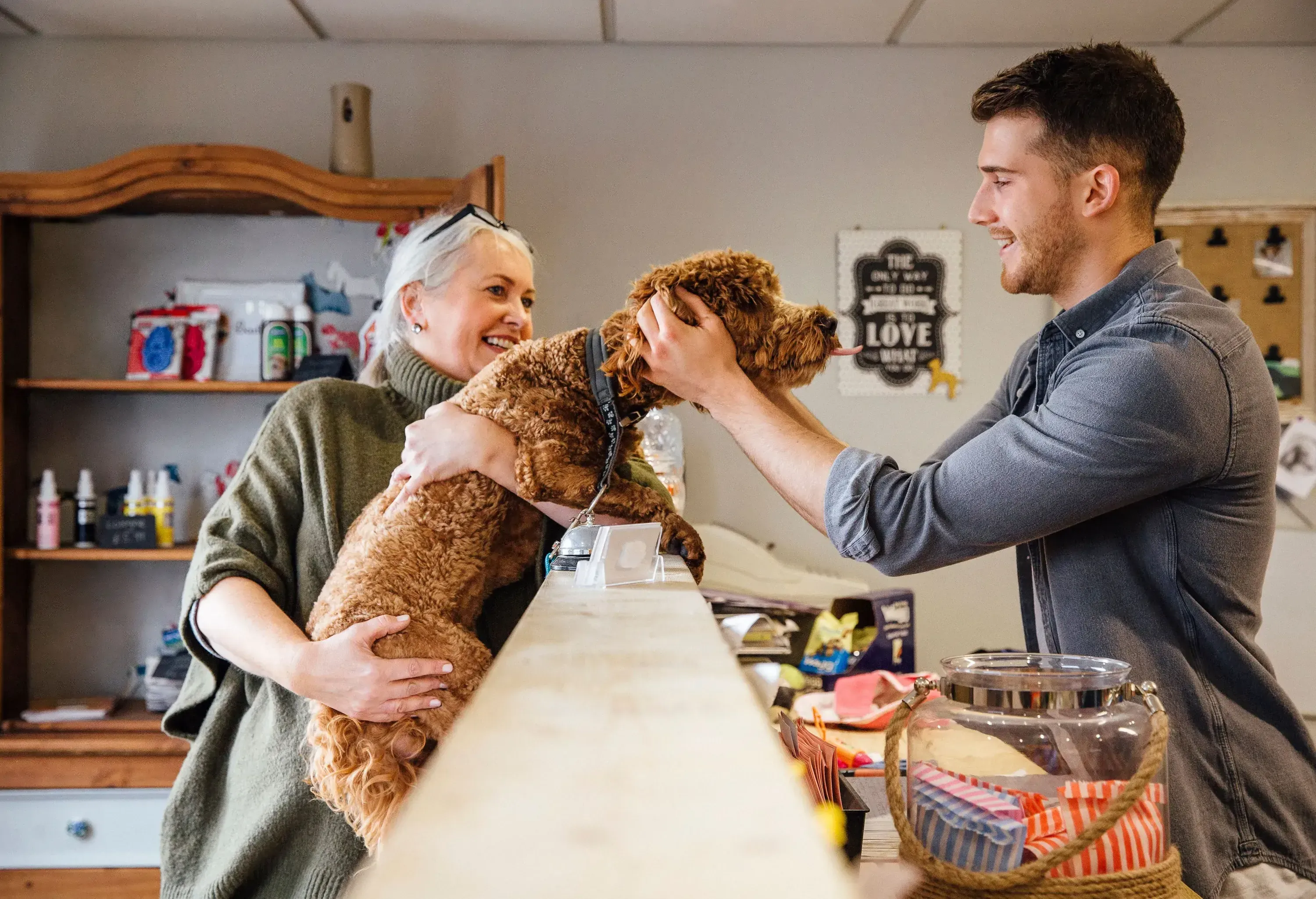 Mature woman is at the reception in the dog grooming salon with her pet cockapoo. The dog is leaning over the counter to recieve affection from the dog groomer.