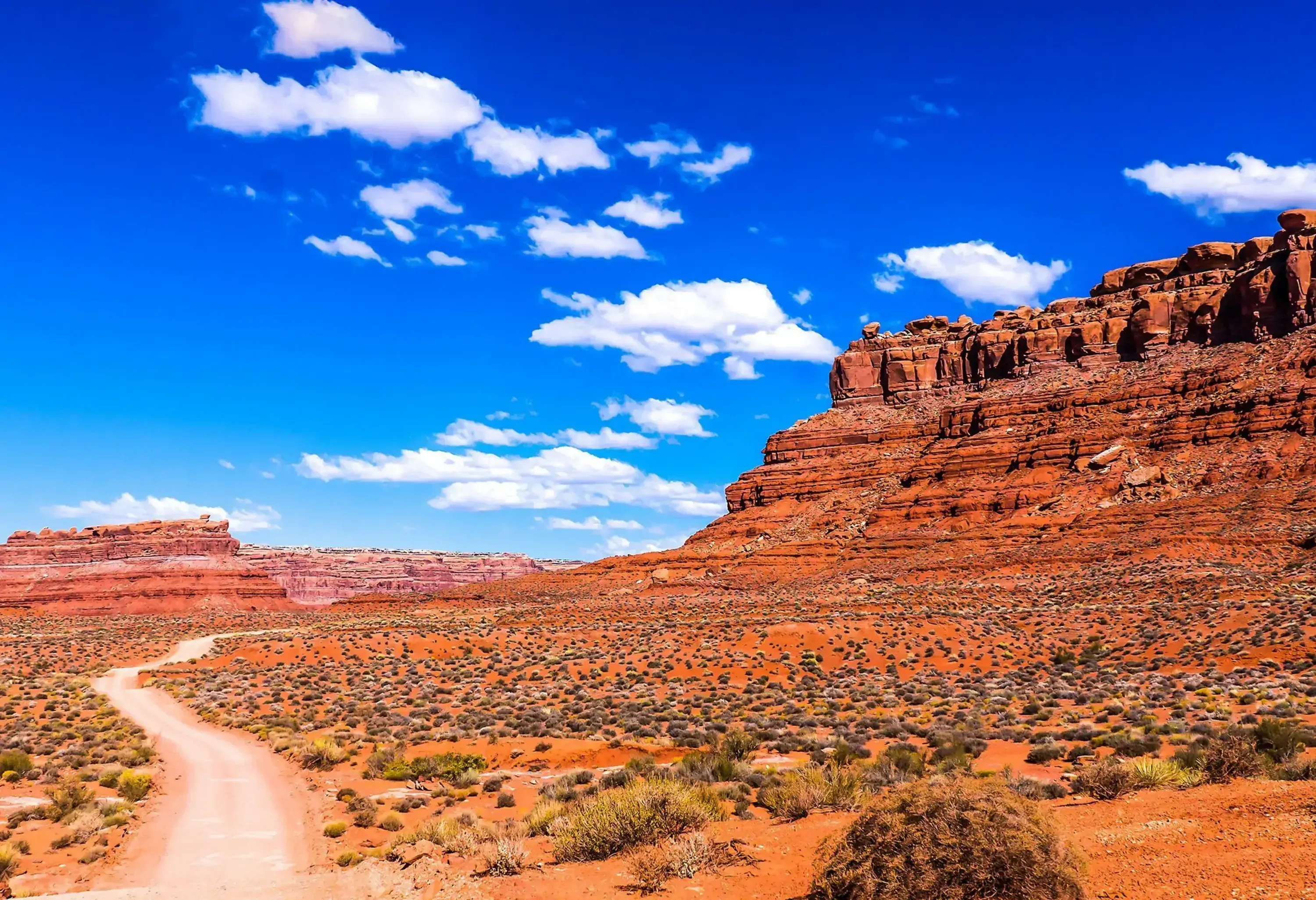 An unpaved road through a grassy wilderness with views of far-off red sandstone mountains.