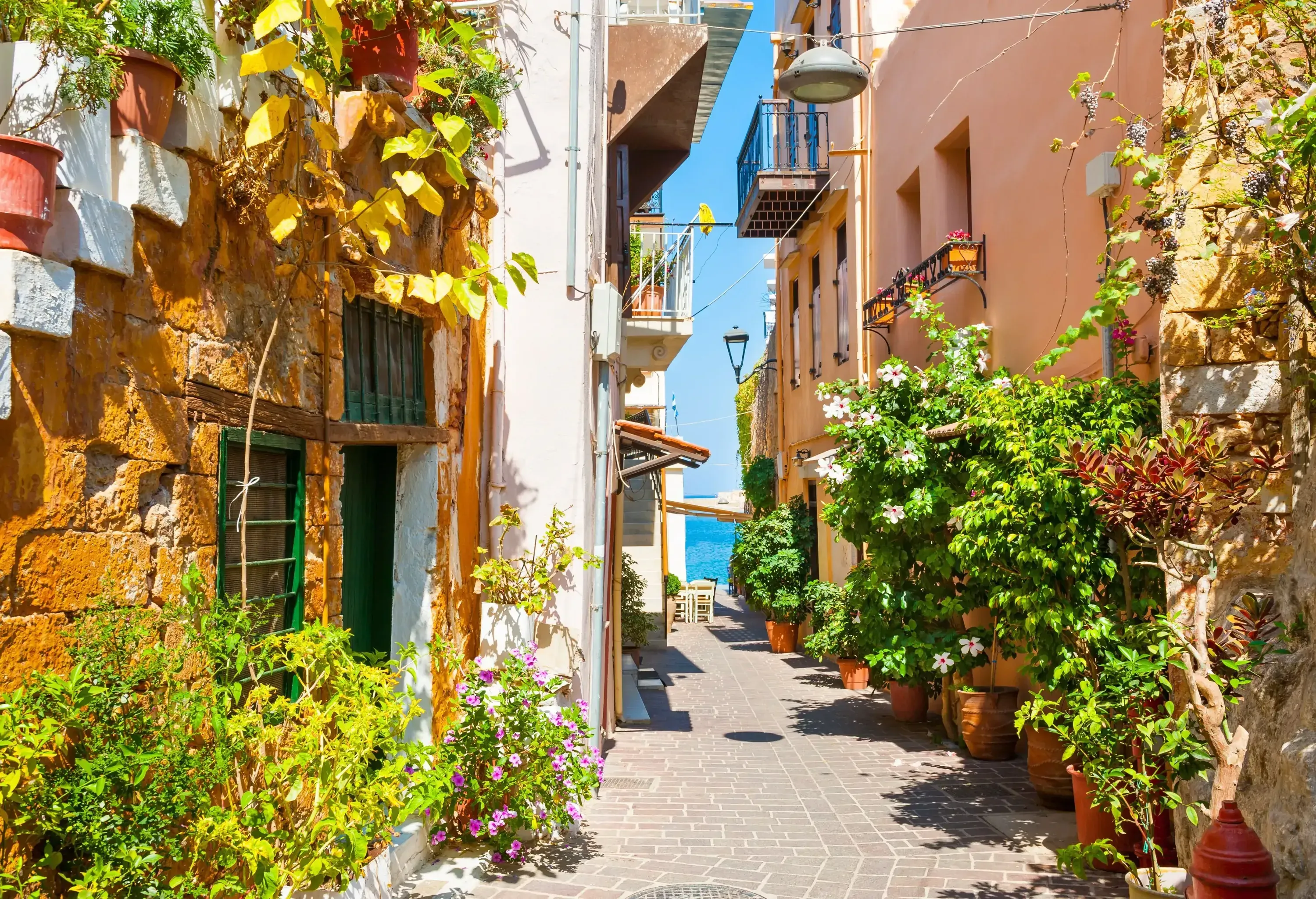 A beautiful street adorned with charming buildings, where colourful plant pots grace the sidewalks.