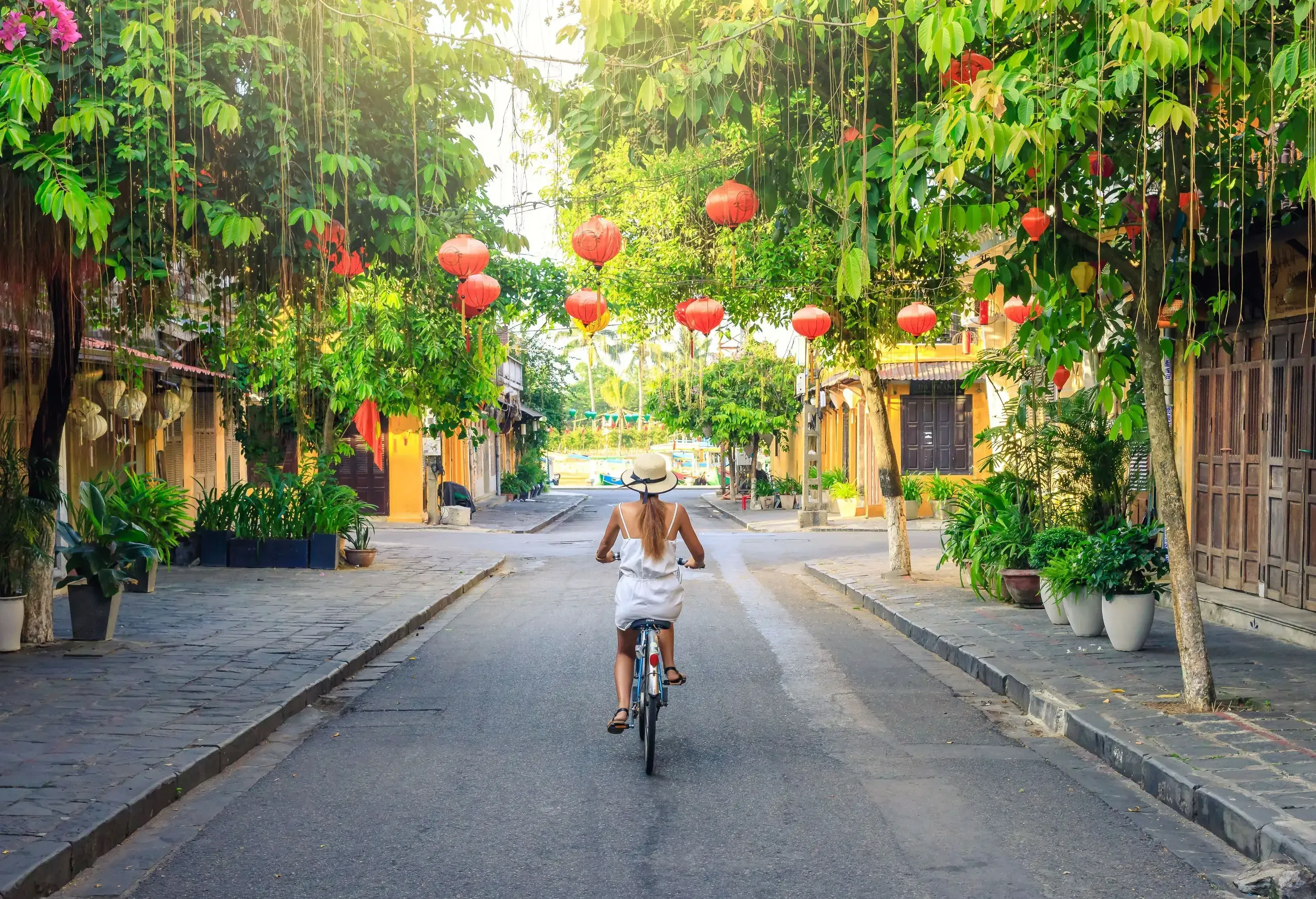 A person gracefully rides a bicycle along a charming street, where tree canopies create a lush sidewalk while whimsical paper lanterns hang overhead.