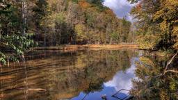Find cheap flights to Ohio