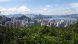 Find cheap flights to Hong Kong