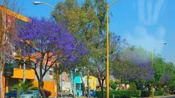 Aguascalientes holiday rentals