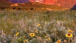 Glacier National Park holiday rentals