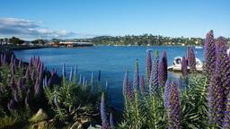 Sausalito hotels