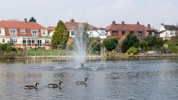 Romford Hotels