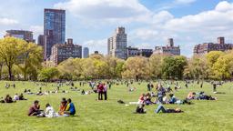 Find cheap flights from Toronto Pearson Airport to New York