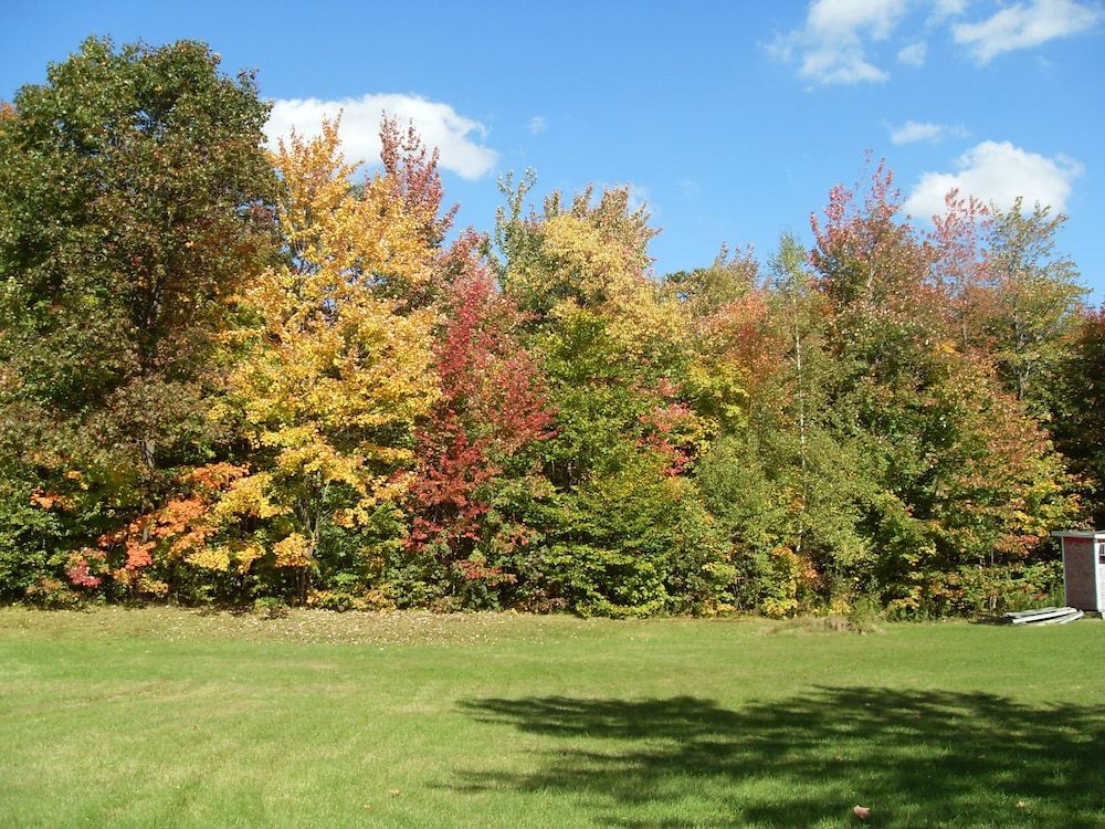 Outdoor view
