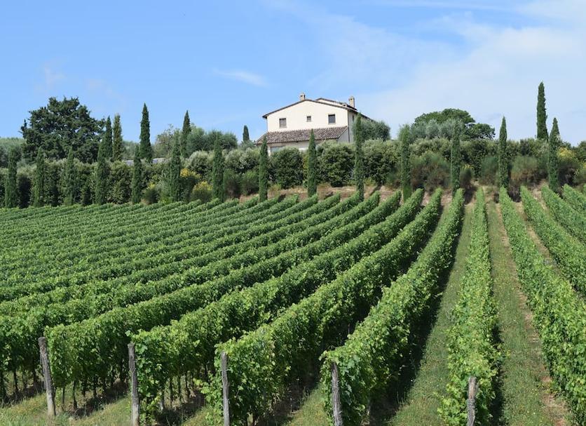 Outdoor view Photo
