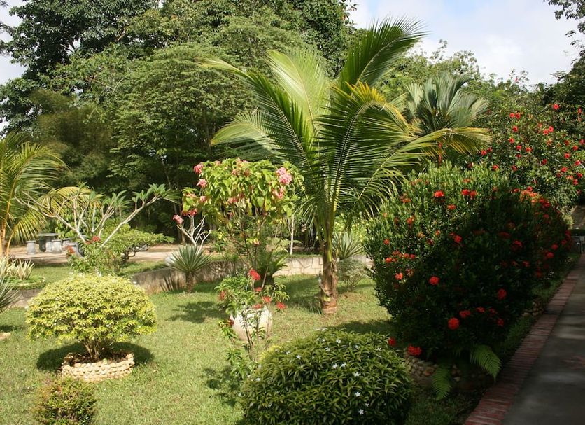 Outdoor view Photo