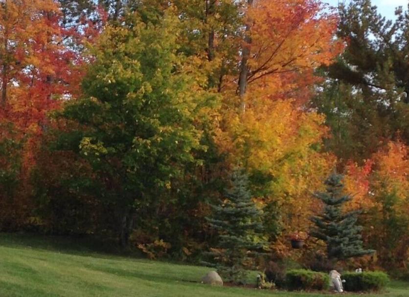 Outdoor view Photo