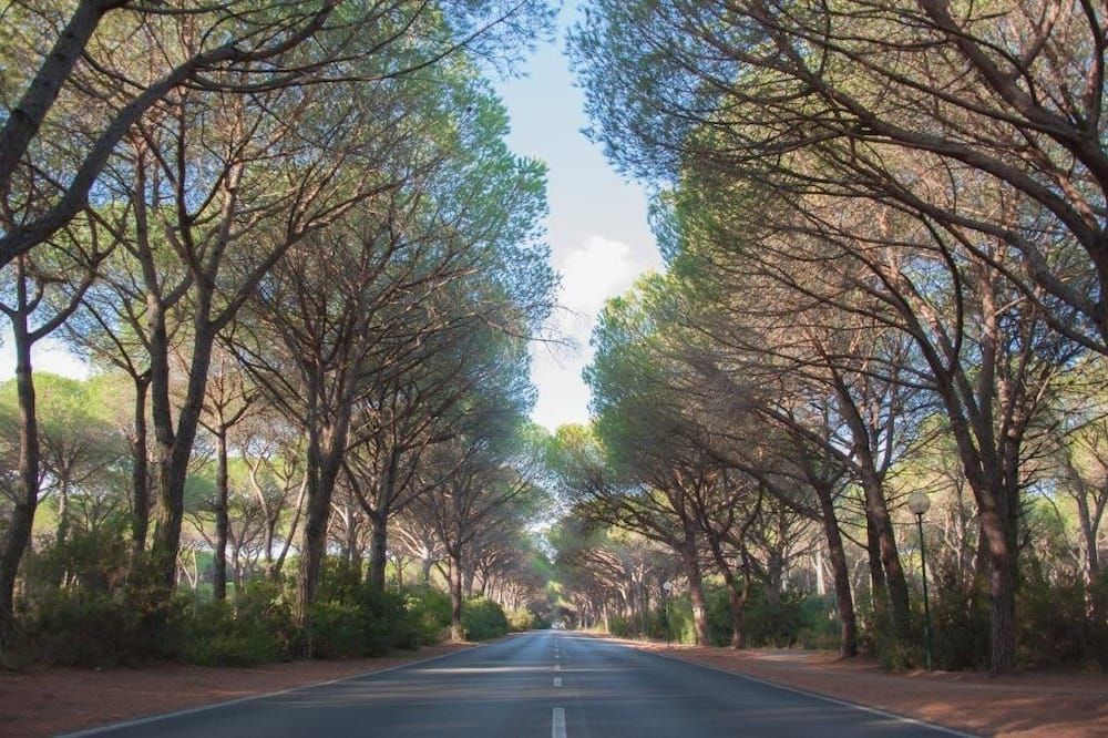 Outdoor view
