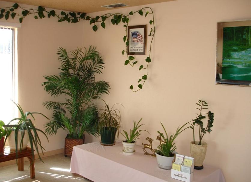 Room amenity Photo