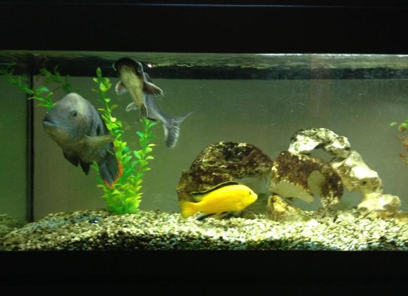 Other Photo